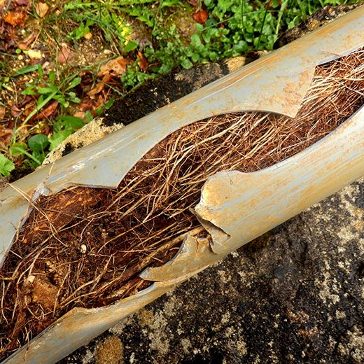 Same Day Drain Sewer & Rooter Pros Across Effingham